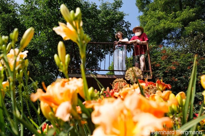 bella bayer garten  kunst